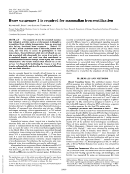 Heme Oxygenase 1 Is Required for Mammalian Iron Reutilization