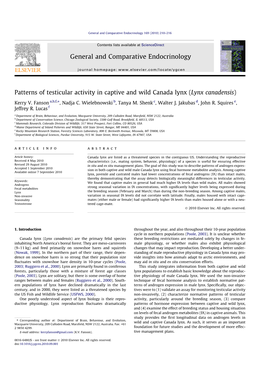 Patterns of Testicular Activity in Captive and Wild Canada Lynx (Lynx Canadensis) ⇑ Kerry V