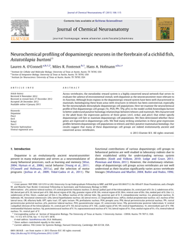 Neurochemical Profiling of Dopaminergic Neurons in The