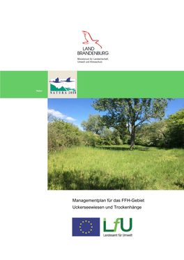 Managementplan Für Das FFH-Gebiet Uckerseewiesen Und Trockenhänge Landesinterne Nr