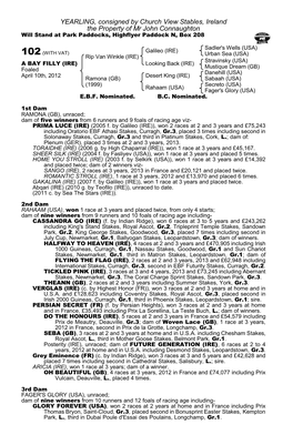 YEARLING, Consigned by Church View Stables, Ireland the Property of Mr John Connaughton Will Stand at Park Paddocks, Highflyer Paddock N, Box 208