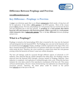 Difference Between Prophage and Provirus Key Difference - Prophage Vs Provirus