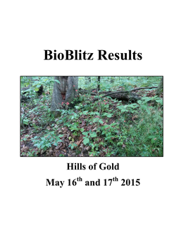 Bioblitz Results