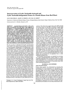 Cyclic Nucleotide-Independent Forms of a Protein Kinase from Beef Heart