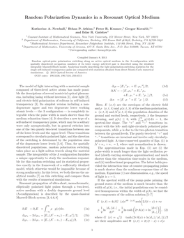 Random Polarization Dynamics in a Resonant Optical Medium