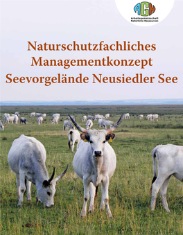 Seevorgelände Neusiedler