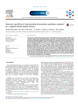 Substrate Specificity of Mitochondrial Intermediate Peptidase Analysed By