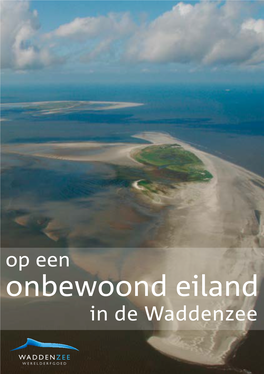 Op Een Onbewoond Eiland in De Waddenzee De Wadden