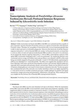 Transcriptome Analysis of Paralichthys Olivaceus Erythrocytes Reveals Profound Immune Responses Induced by Edwardsiella Tarda Infection