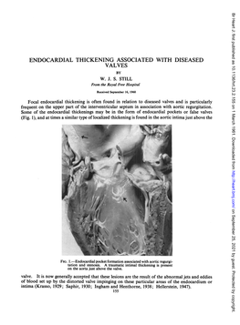 Endocardial Thickening Associated with Diseased Valves by W