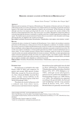 Rhizome and Root Anatomy of 14 Species of Bromeliaceae 1