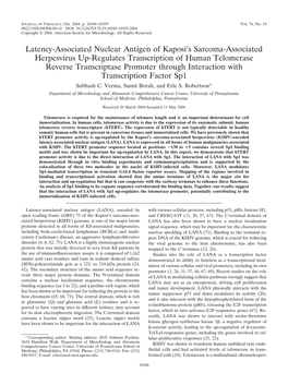 Latency-Associated Nuclear Antigen of Kaposi's Sarcoma-Associated