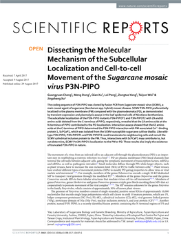 Dissecting the Molecular Mechanism of the Subcellular Localization And