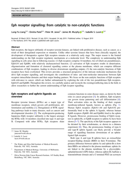 Eph Receptor Signalling: from Catalytic to Non-Catalytic Functions