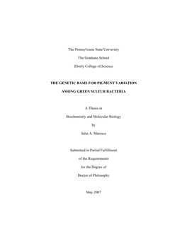 Open Maresca Thesis F.Pdf