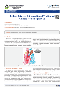 Bridges Between Chiropractic and Traditional Chinese Medicine (Part 1)