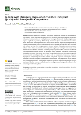 Talking with Strangers: Improving Serianthes Transplant Quality with Interspecific Companions