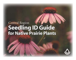 Seedling ID Guide for Native Prairie Plants