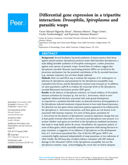 Differential Gene Expression in a Tripartite Interaction: Drosophila, Spiroplasma and Parasitic Wasps