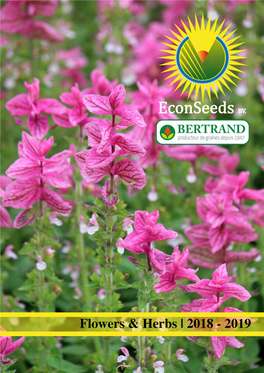 Econseeds BV