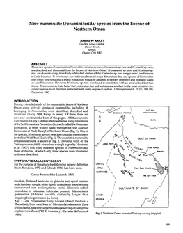 New Nummulite (Foraminiferida) Species from the Eocene of Northern Oman