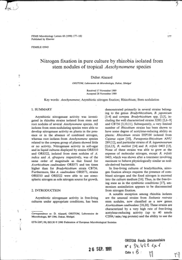 Nitrogen Fixation in Pure Culture by Rhizobia Isolated from Stem Nodules