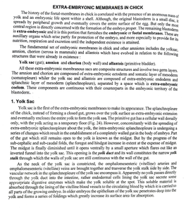 EXTRA-EMBRYONIC MEMBRANES in CHICK Yolksac, Yolk Sac (Gut); Amnion and Chorion (Body Wall) and Allantois (Primitive Bladder). Al