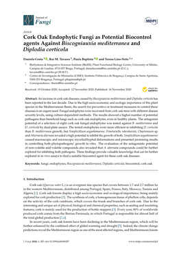 Cork Oak Endophytic Fungi As Potential Biocontrol Agents Against Biscogniauxia Mediterranea and Diplodia Corticola