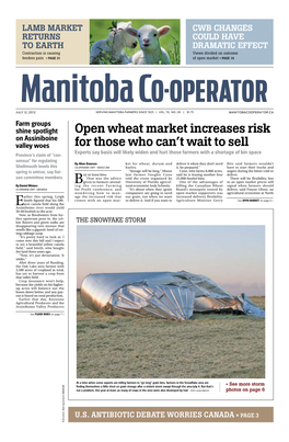 Open Wheat Market Increases Risk for Those Who Can't Wait to Sell