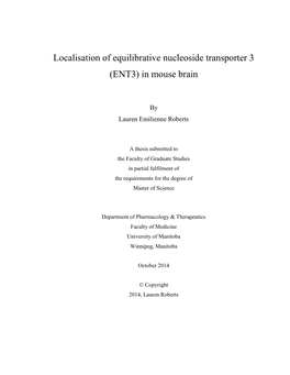 Localisation of Equilibrative Nucleoside Transporter 3 (ENT3) in Mouse Brain