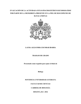 Evaluación De La Actividad Anti Batrachochytrium Dendrobatidis Por Parte De La Microbiota Presente En La Piel De Dos Especies De Ranas Andinas