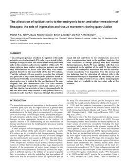 The Allocation of Epiblast Cells to the Embryonic Heart and Other Mesodermal Lineages: the Role of Ingression and Tissue Movement During Gastrulation