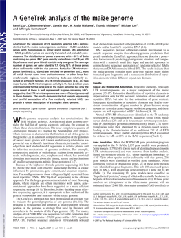 A Genetrek Analysis of the Maize Genome