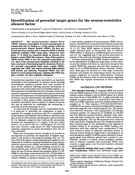 Identification of Potential Target Genes for the Neuron-Restrictive Silencer Factor CHRISTOPHER J