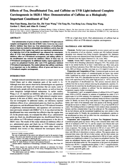 Effects of Tea, Decaffeinated Tea, and Caffeine on UVB Light-Induced