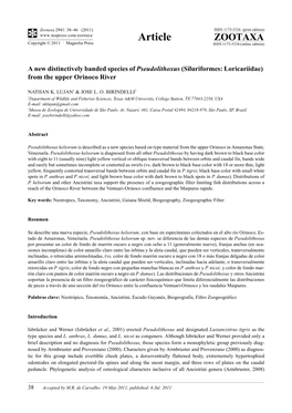 A New Distinctively Banded Species of Pseudolithoxus (Siluriformes: Loricariidae) from the Upper Orinoco River