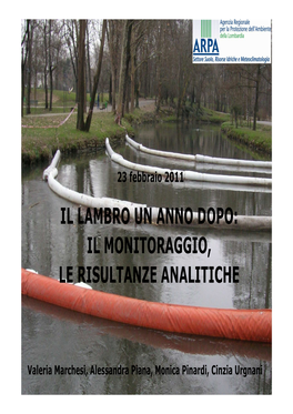 Il Lambro Un Anno Dopo: Il Monitoraggio, Le Risultanze Analitiche