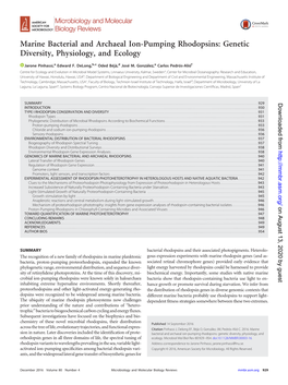 Marine Bacterial and Archaeal Ion-Pumping Rhodopsins: Genetic Diversity, Physiology, and Ecology