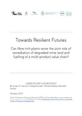 Towards Resilient Futures
