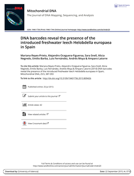 DNA Barcodes Reveal the Presence of the Introduced Freshwater Leech Helobdella Europaea in Spain