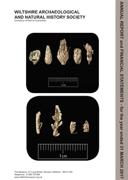 WILTSHIRE ARCHAEOLOGICAL and NATURAL HISTORY SOCIETY (Company Limited by Guarantee)