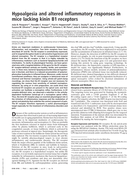 Hypoalgesia and Altered Inflammatory Responses in Mice Lacking Kinin B1 Receptors