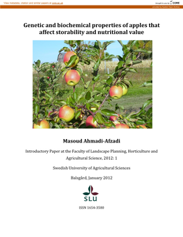 Genetic and Biochemical Properties of Apples That Affect Storability and Nutritional Value