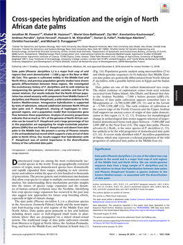 Cross-Species Hybridization and the Origin of North African Date Palms