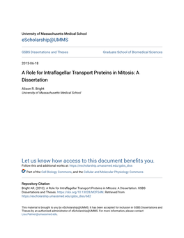 A Role for Intraflagellar Transport Proteins in Mitosis: a Dissertation