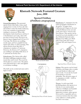 Klamath Network Featured Creature June, 2008 Spotted Fritillary (Fritillaria Atropurpurea) General Description: This Perennial Distribution: F