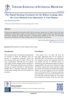 The Pigtail Stenting Treatment for the Biliary Leakage After the Liver Hydatid Cyst Operation: a Case Report