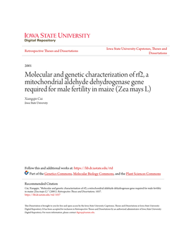 Molecular and Genetic Characterization of Rf2, A