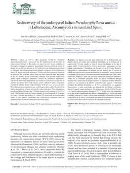 Rediscovery of the Endangered Lichen Pseudocyphellaria Aurata (Lobariaceae, Ascomycota) in Mainland Spain