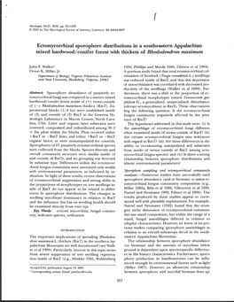 Ectomycorrhizal Sporophore Distributions in a Southeastern Appalachian Mixed Hardwood/Conifer Forest with Thickets of Rhododendron Maximum